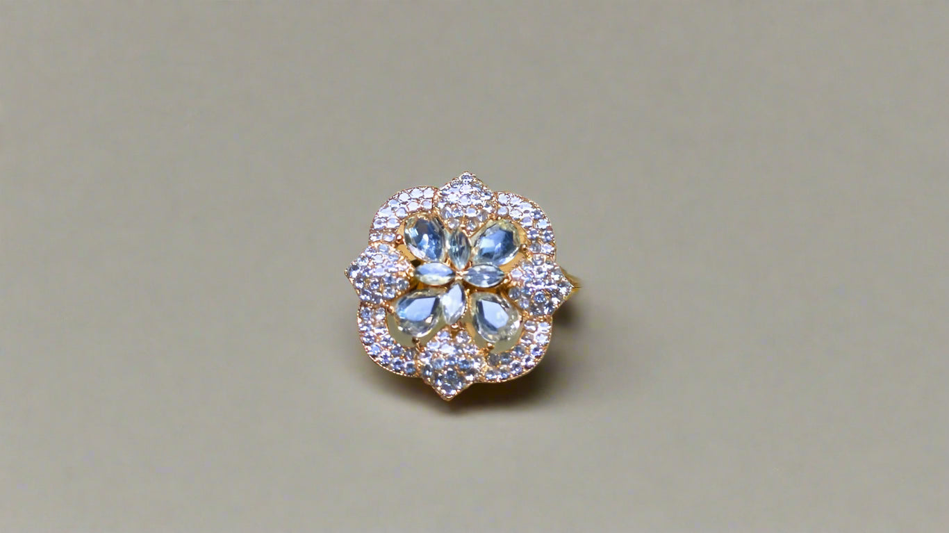 Ring (030)
