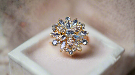 Ring (029)