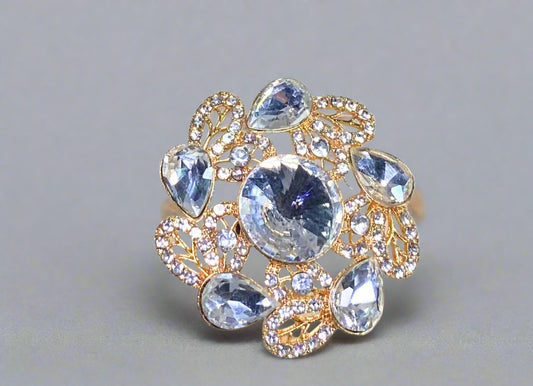 Ring (011)