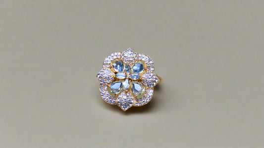 Ring (030)